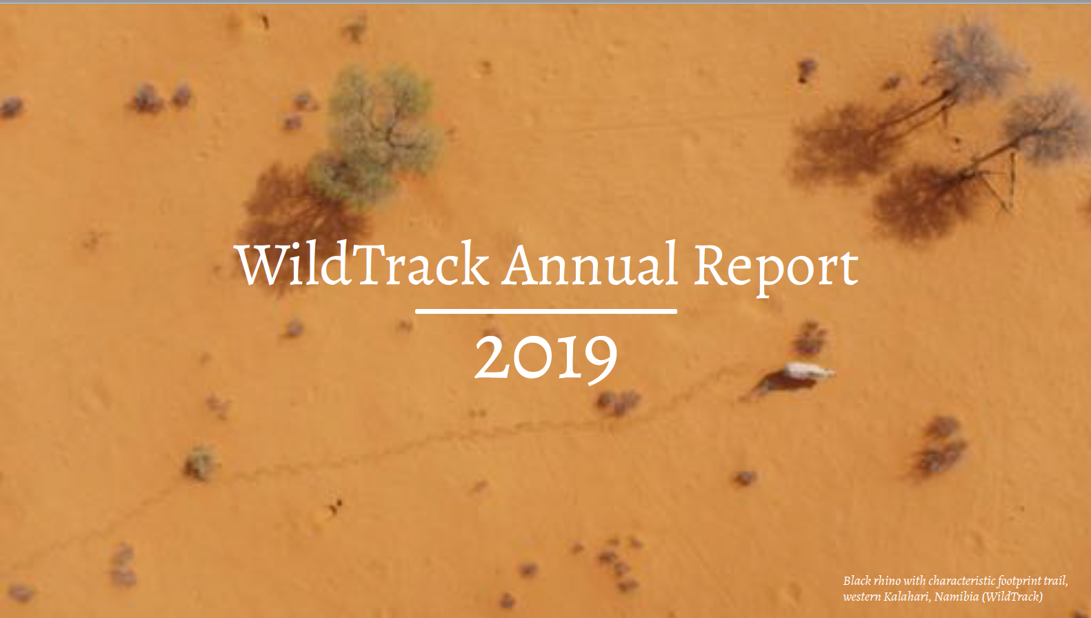 WildTrack Annual Report 2019 now out
